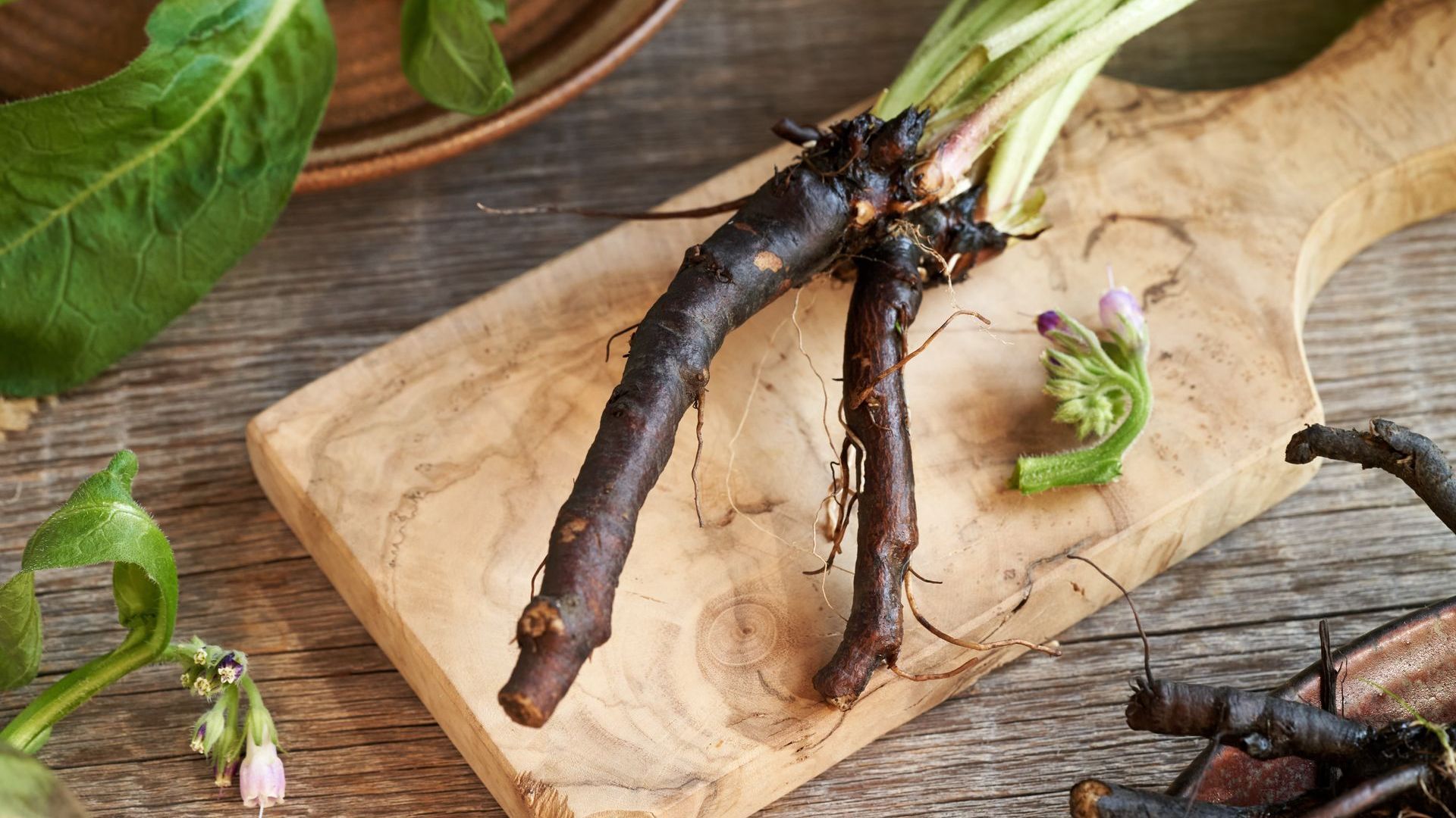 Beinwell, Symphitum, Tinktur, kräuter