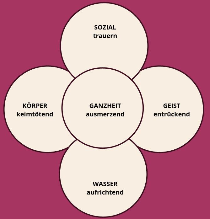 Bohnenkraut Bohnenkraut