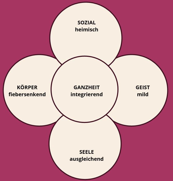 Kamillen Öl Kamillen Öl