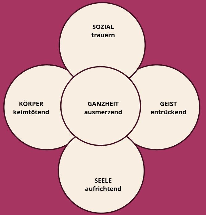 Bohnenkraut Öl Bohnenkraut Öl