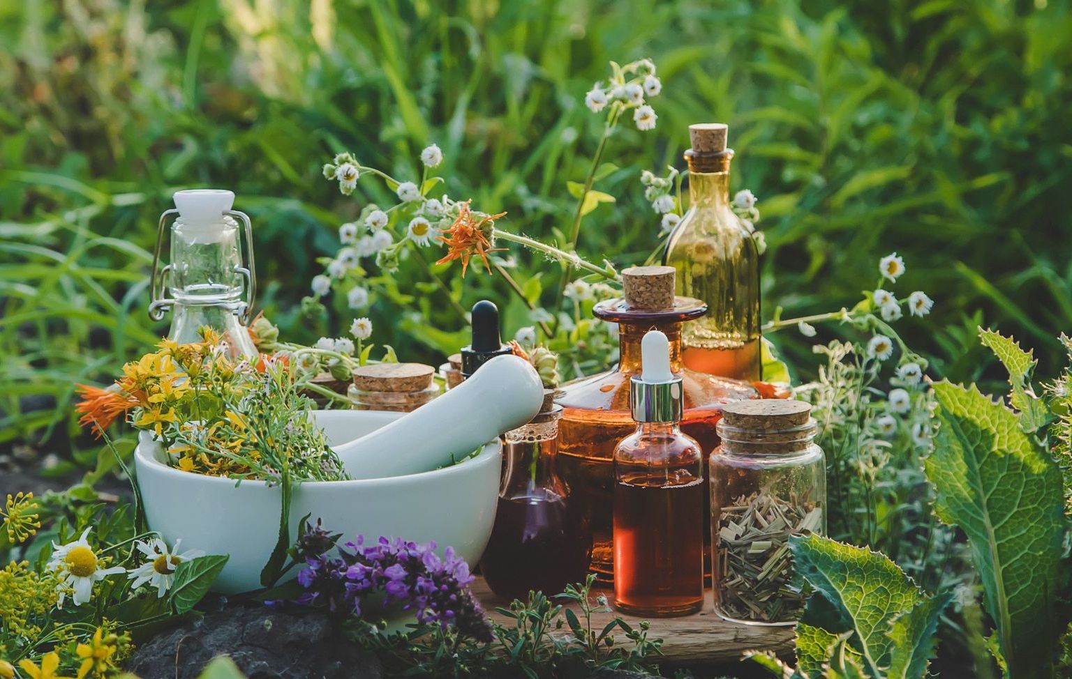 Phytotherapie, Planzen, Kräuter