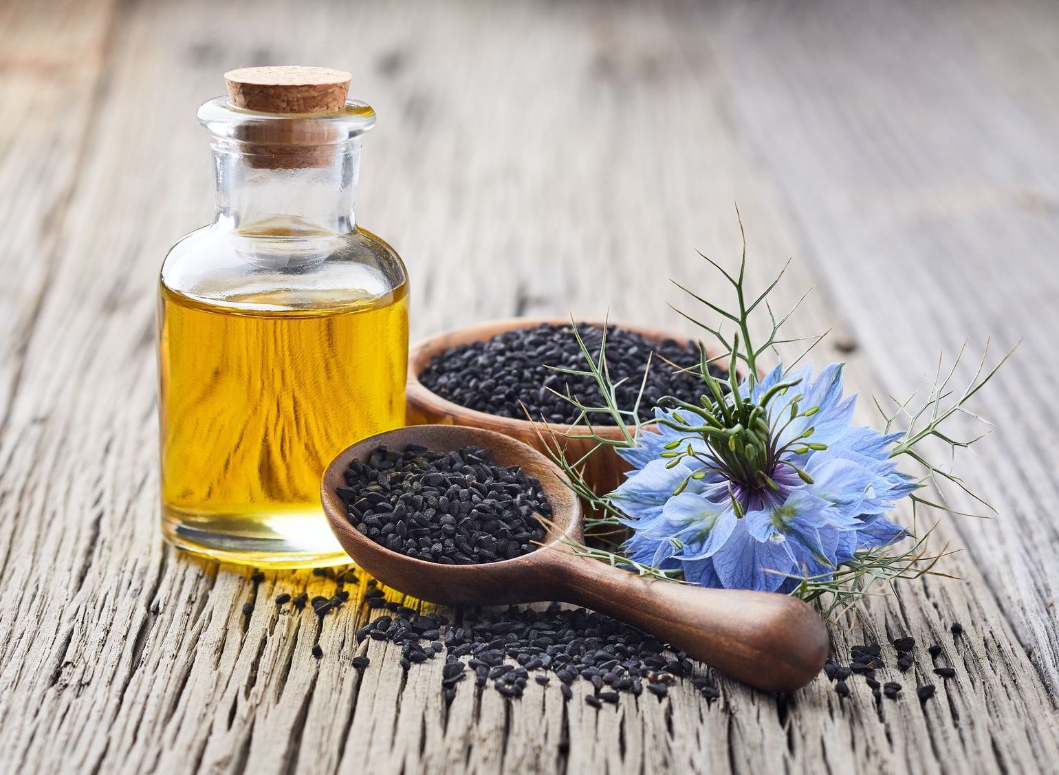 Schwarzkümmel Schwarzkümmel