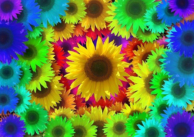 Wann ist die Plastizität des politischen Gehirns am größten? Im Frühling, montags oder um 08.00 Uhr?