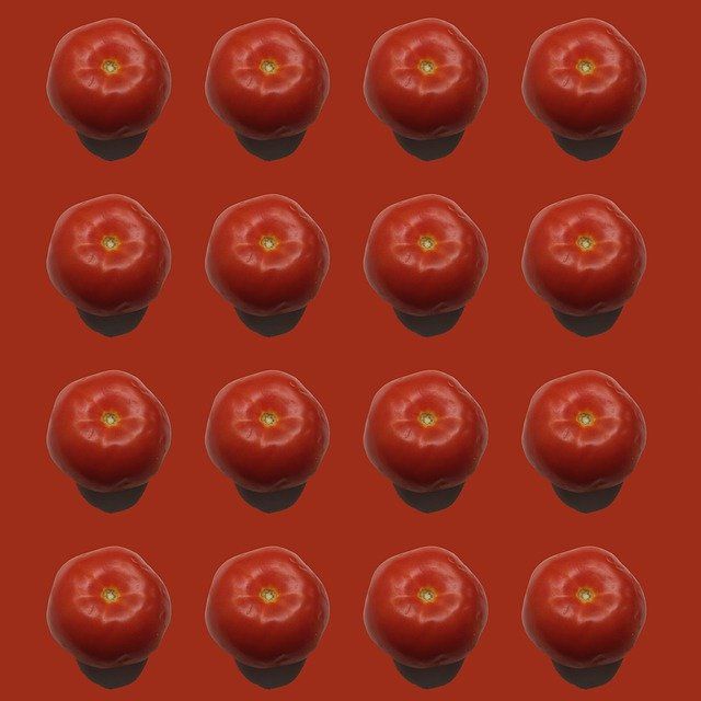 Welche Politiker haben sich für die falsche Partei entschieden?