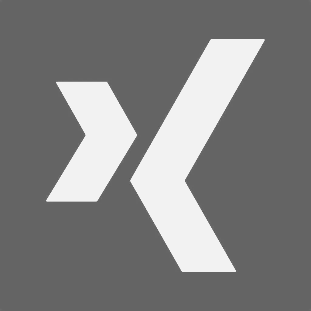 Xing Netzwerk