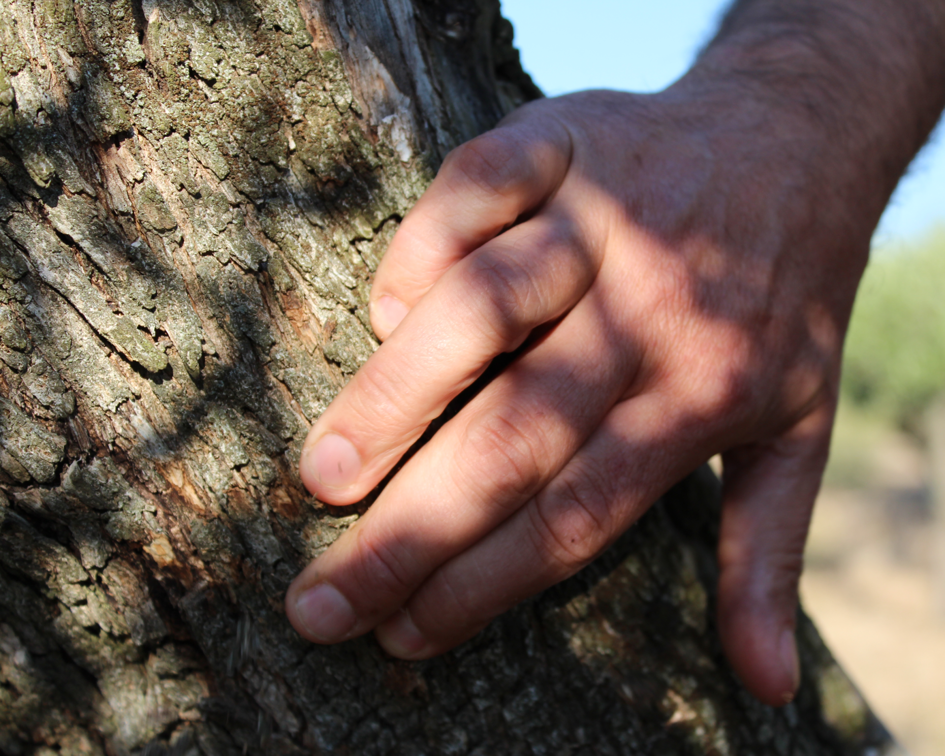 meta namekeywords contentfrederic maigne soins voyages holistique énergie yoga vinyasa méditation bien être cours formations energie coaching meta namedescription contentfrederic maigne soins voyages holistique énergie yoga vinyasa méditation bien être cours formations energie coaching meta nameauthor contentfrederic maigne meta namecopyright contentfrederic maigne meta namerobots contentindex follow meta http-equivcontent-language contentfr meta http-equivrevisit-after content6 days