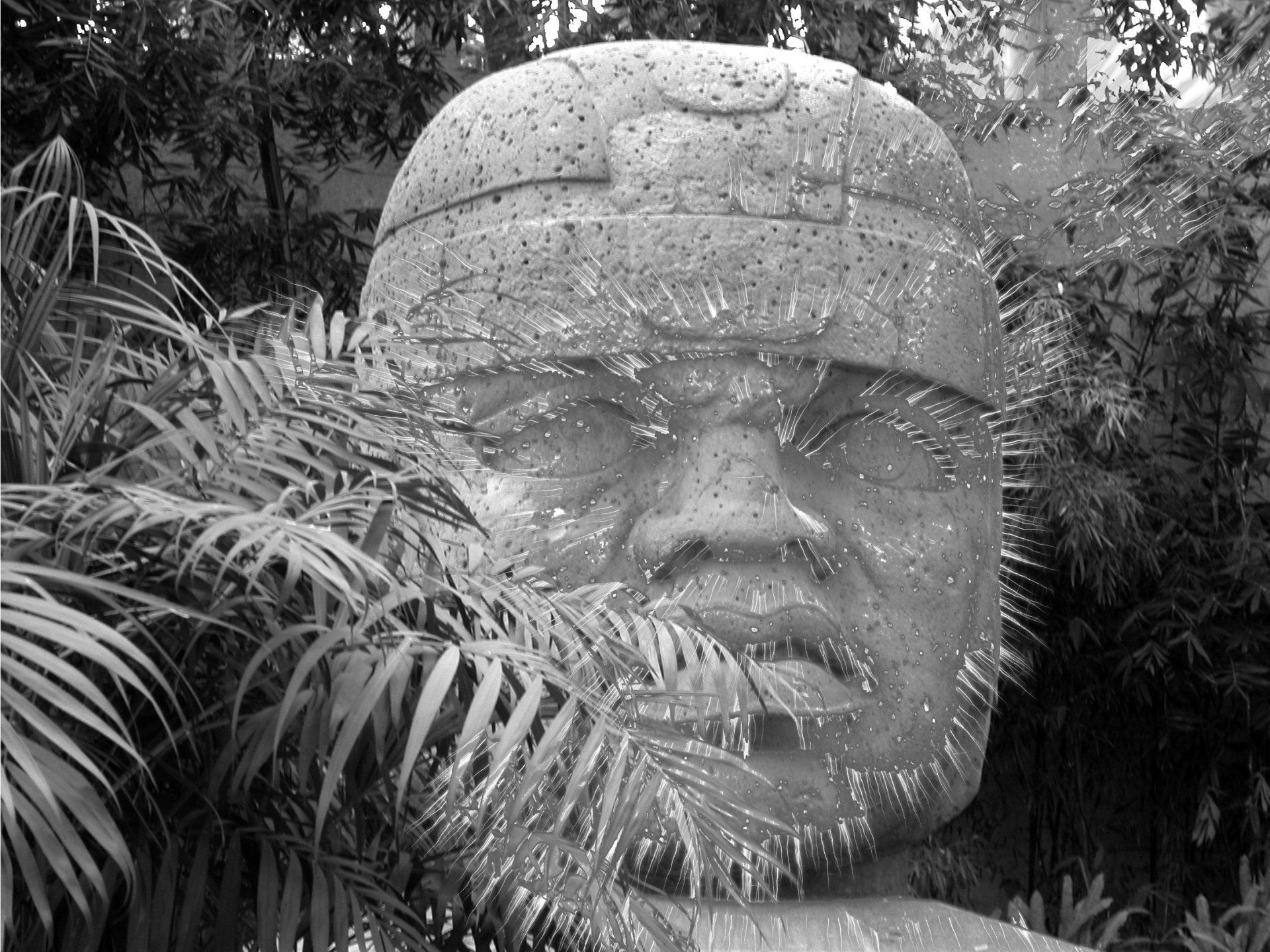 Voyage initiatique en terres Mexicaines Voyage initiatique en terres Mexicaines