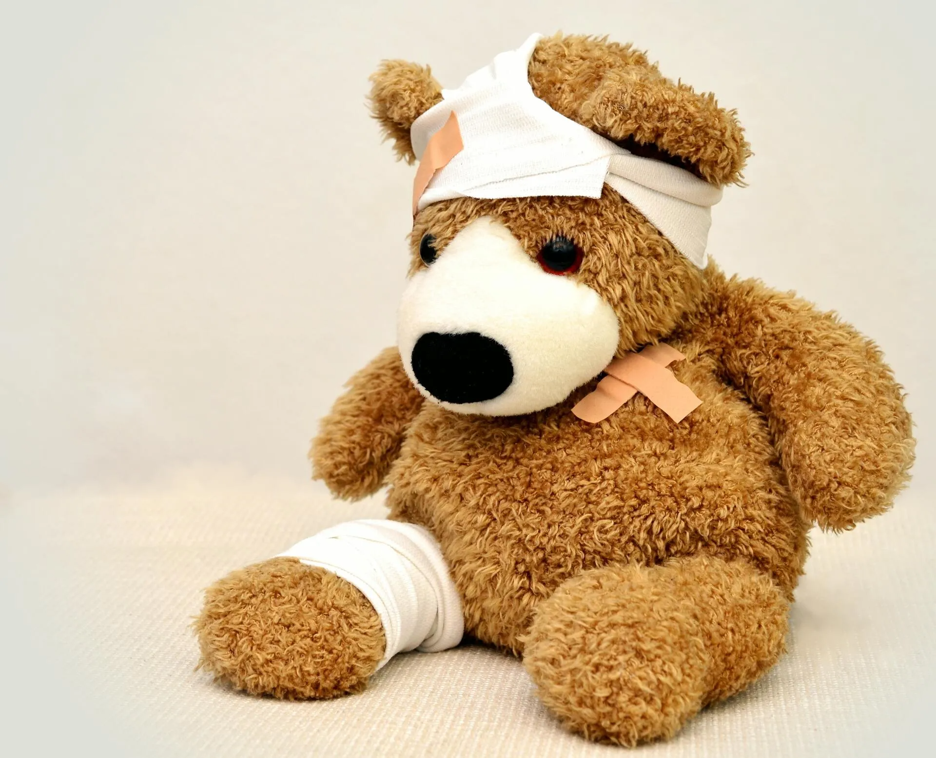 Bärfoto Zukunft Gesundheit