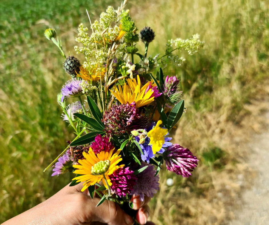 Du wirst jeden Tag beschenkt Du wirst jeden Tag beschenkt