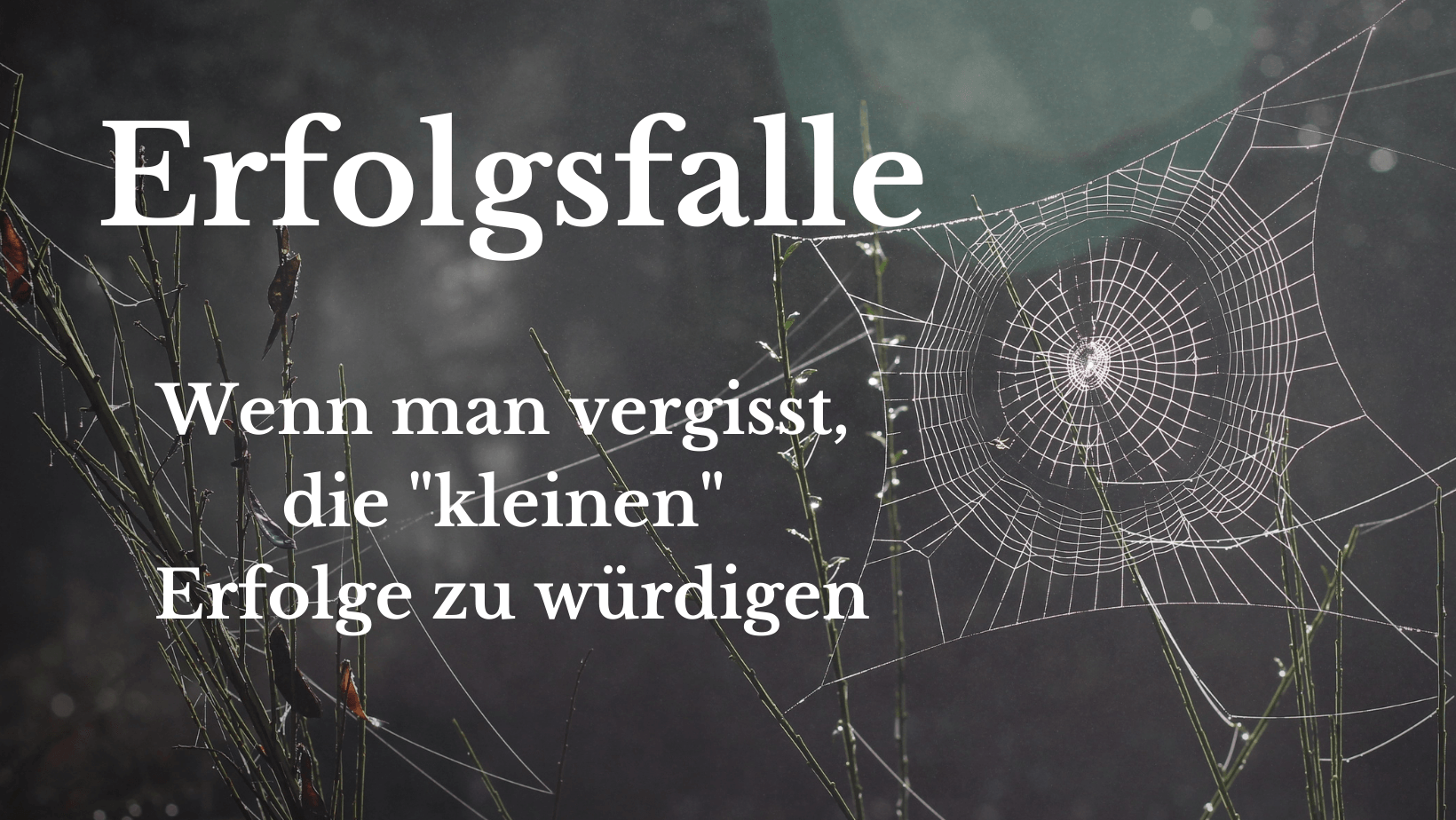 Ich tappte in die Erfolgsfalle... denn, es war noch nie so einfach, sich mit anderen zu vergleichen. Wenn man vergisst, die Ich tappte in die Erfolgsfalle... denn, es war noch nie so einfach, sich mit anderen zu vergleichen. Wenn man vergisst, die
