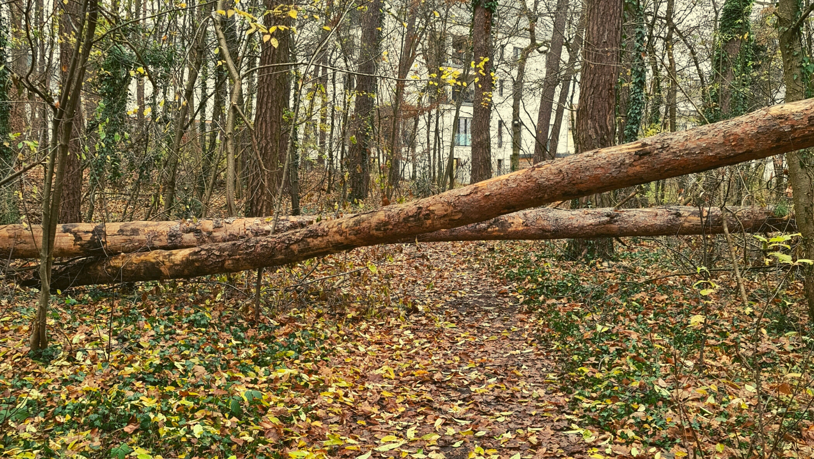 Wenn nichts mehr so ist, wie es einmal war ... Wenn nichts mehr so ist, wie es einmal war ...