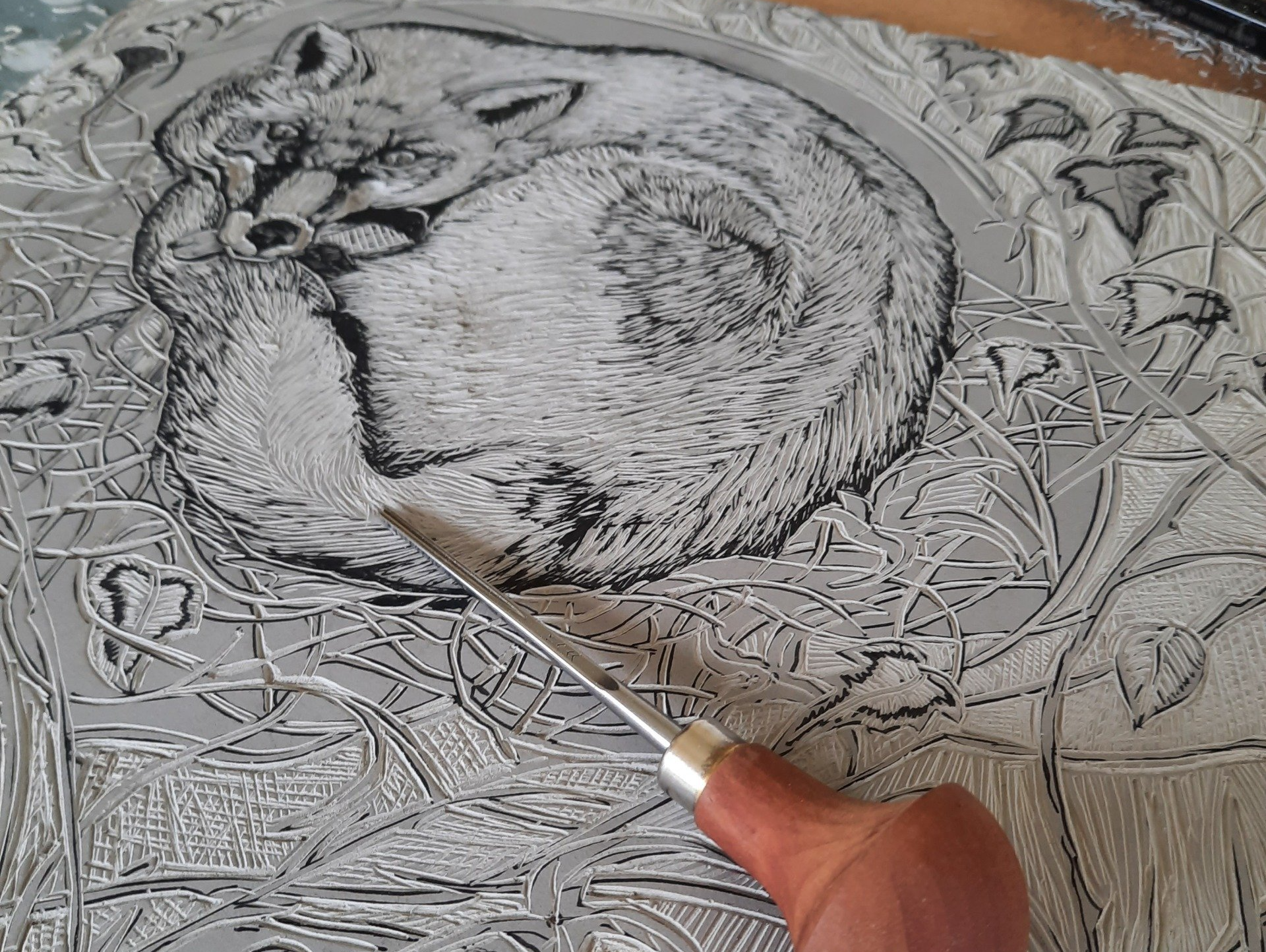 An image of a lino cut printing plate being carved. The image on the lino block is of a curled fox. A lino cutting tool is resting on the block.