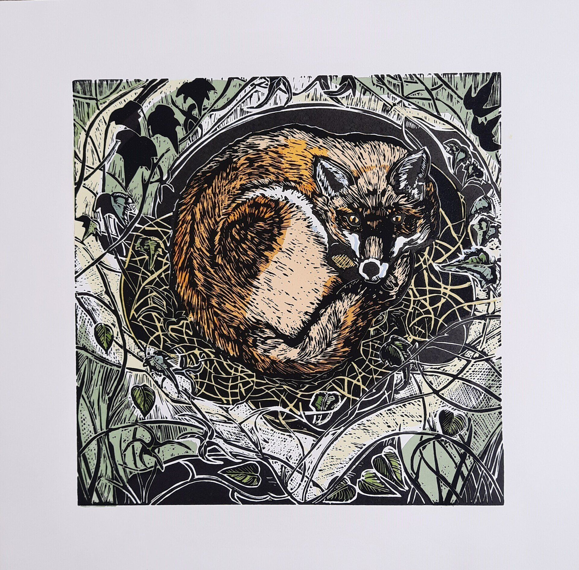 An image of a hand printed lino print with screen print, depicting a curled up red fox, on a bed of dried grass and ivy.