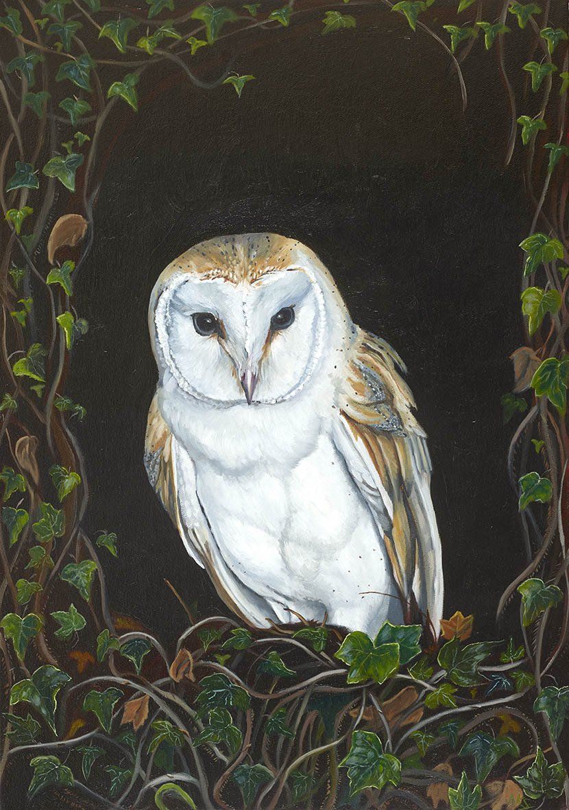 An image of an oil painting of a Barn Owl, surrounded by a thick mass of ivy vines and leaves. The owl is standing amongst the foliage, its bright white feathers in contrast to the dark background