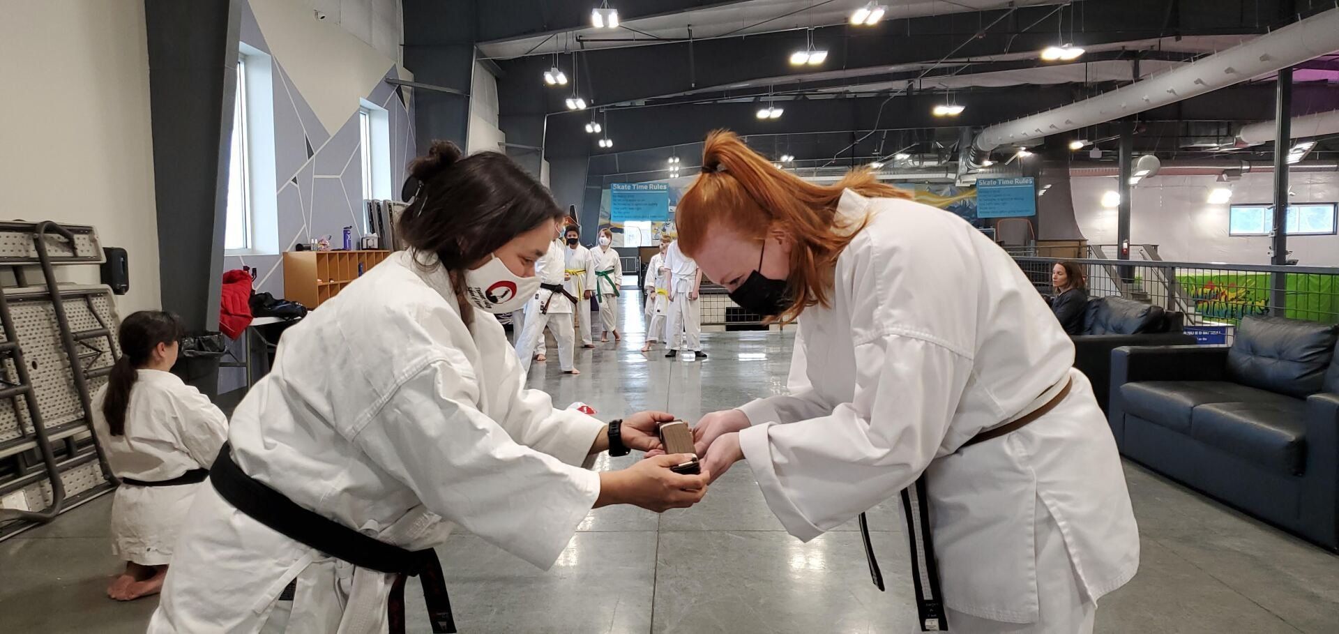 Karate in Meridian Idaho, Best Karate School in Idaho, Karate for mind and body