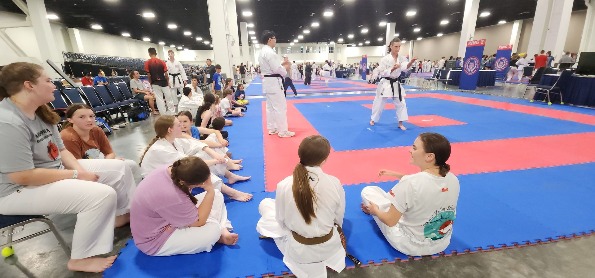 Karate in Meridian Idaho, karate near me, Meridian Idaho Karate, Healthy activity in Idaho, Healthy activity in Meridian Idaho, Family Activity, Hanshi Morris Mack, Morris Mack, Karate History