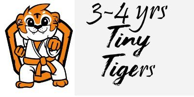 Tiny Tiger Karate, 3 year old karate, 4 year old karate, Karate near me, karate, Meridian Idaho