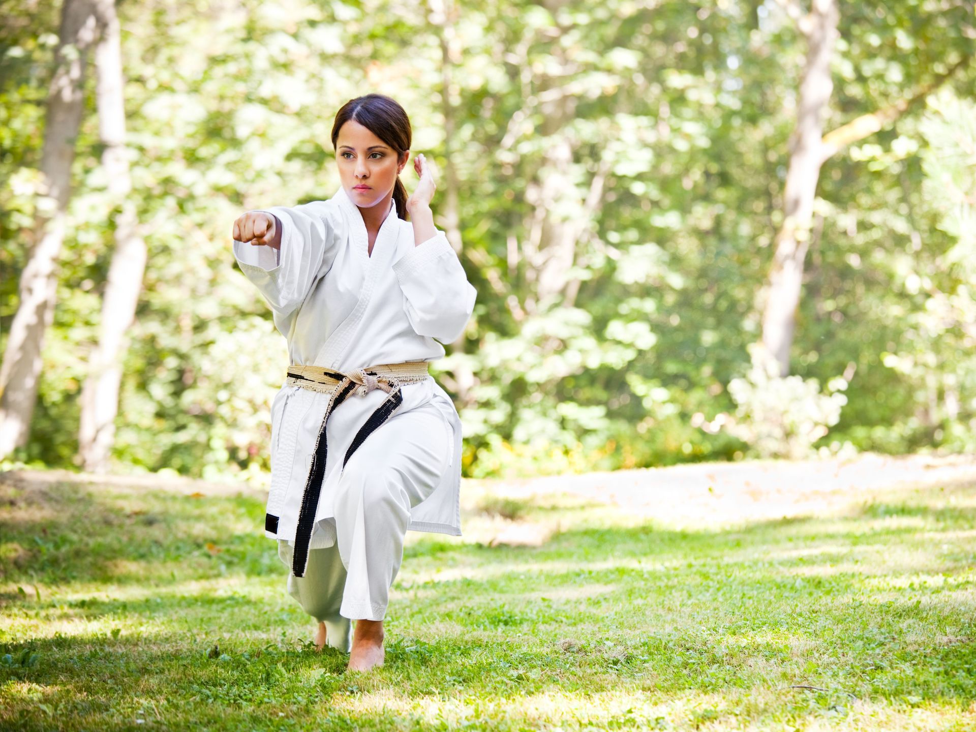 karate stances, karate, meridian idaho