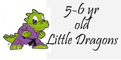 Little Dragon Karate Class, Little Dragon, 5 year old karate, 6 year old karate
