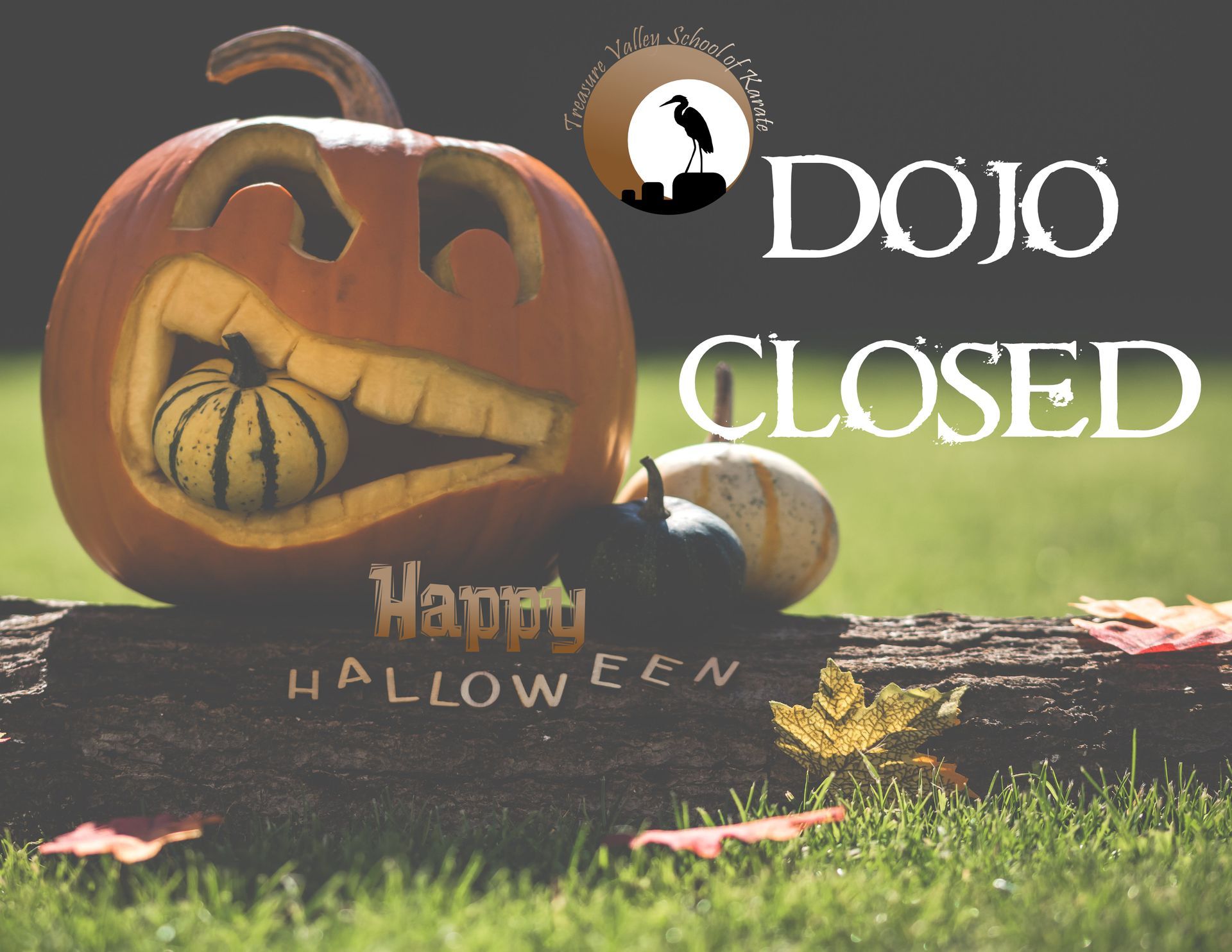 Safety tips, halloween safety tip, karate safety, Karate in Meridian Idaho, karate near me, Meridian Idaho Karate, Healthy activity in Idaho, Healthy activity in Meridian Idaho, Family Activity