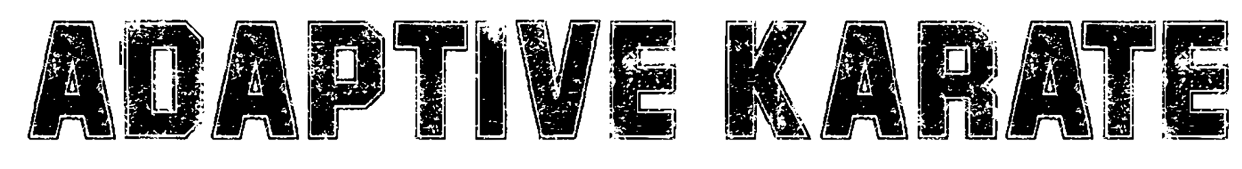 Adaptive Karate in Idaho