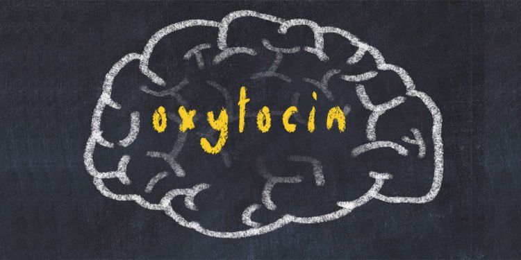 how does oxytocin help a student learn, karate school in meridian idaho, karate schools near me