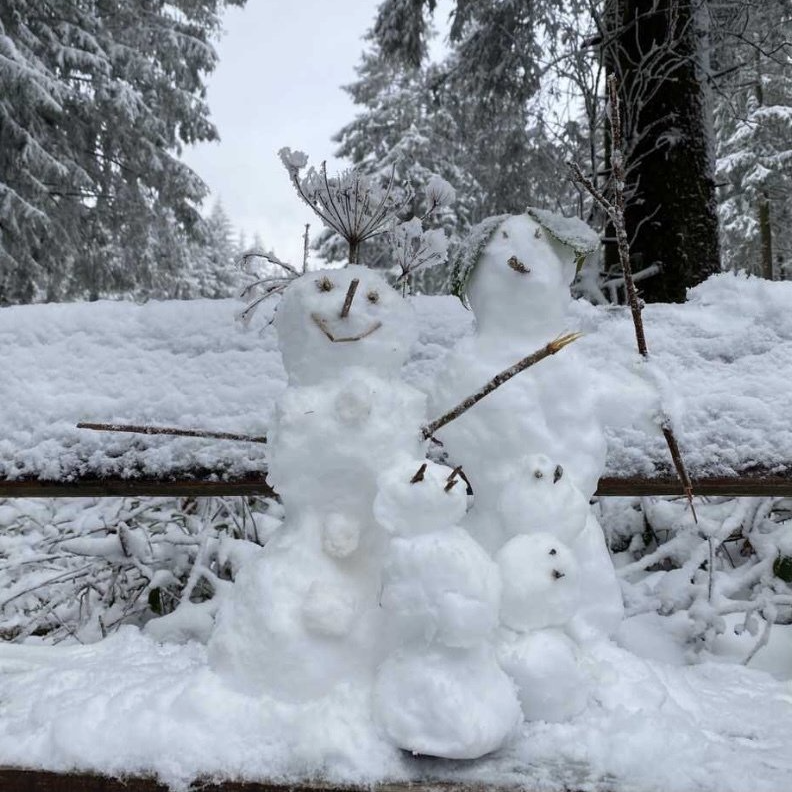 ferienapartment hahnenklee winter