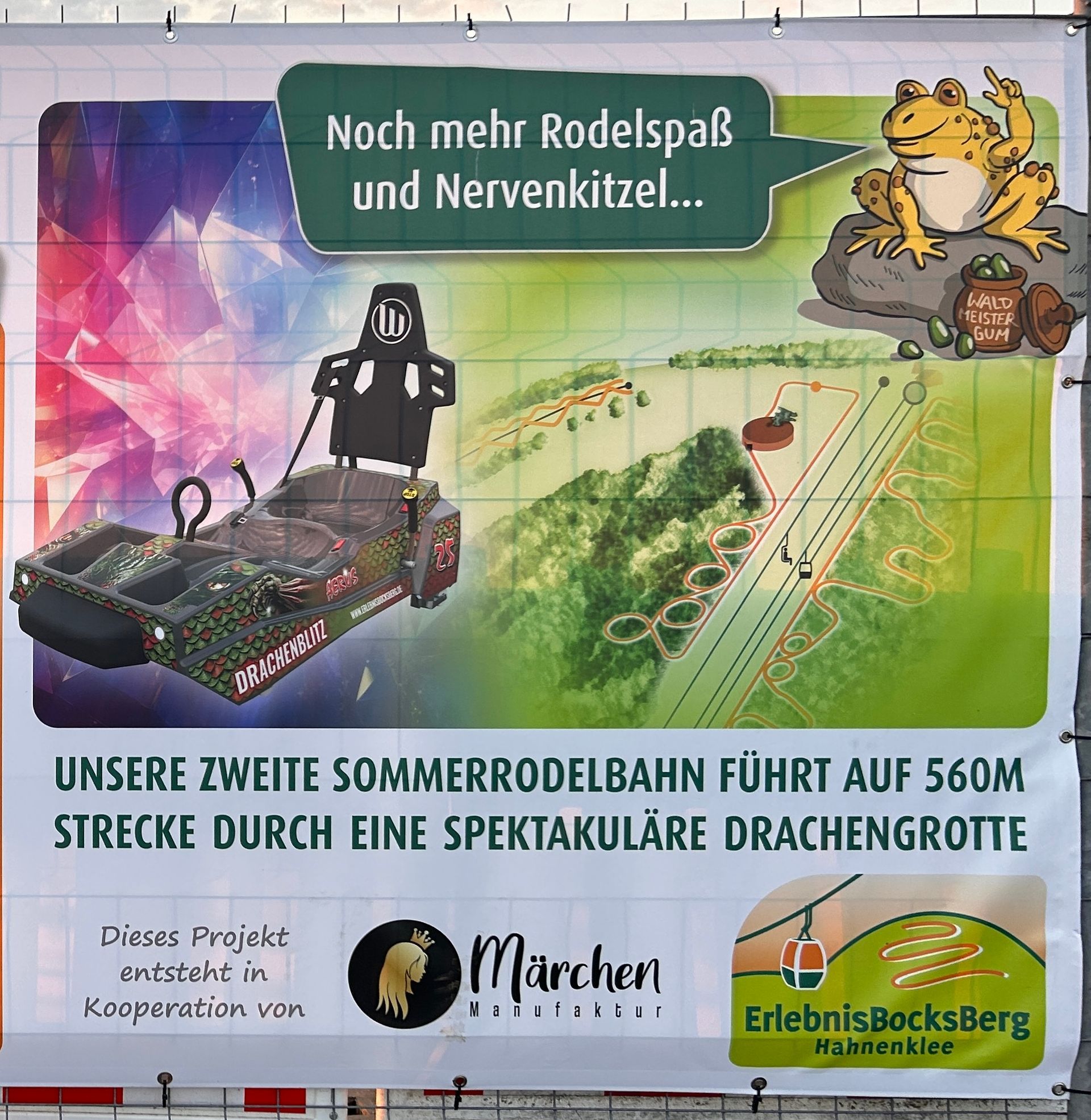 Drachenblitz hahnenklee bocksberg