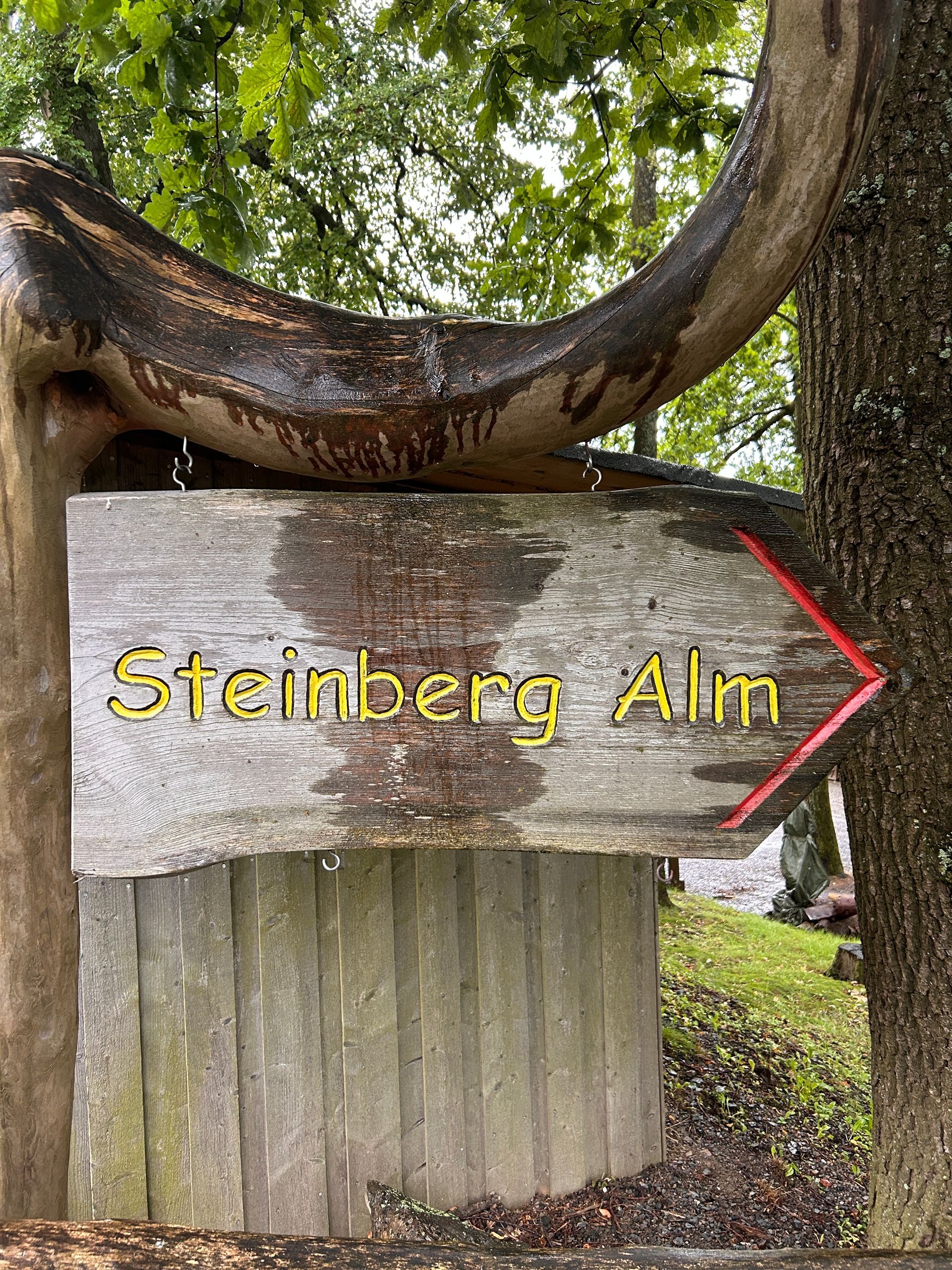 Steinberg Alm Goslar