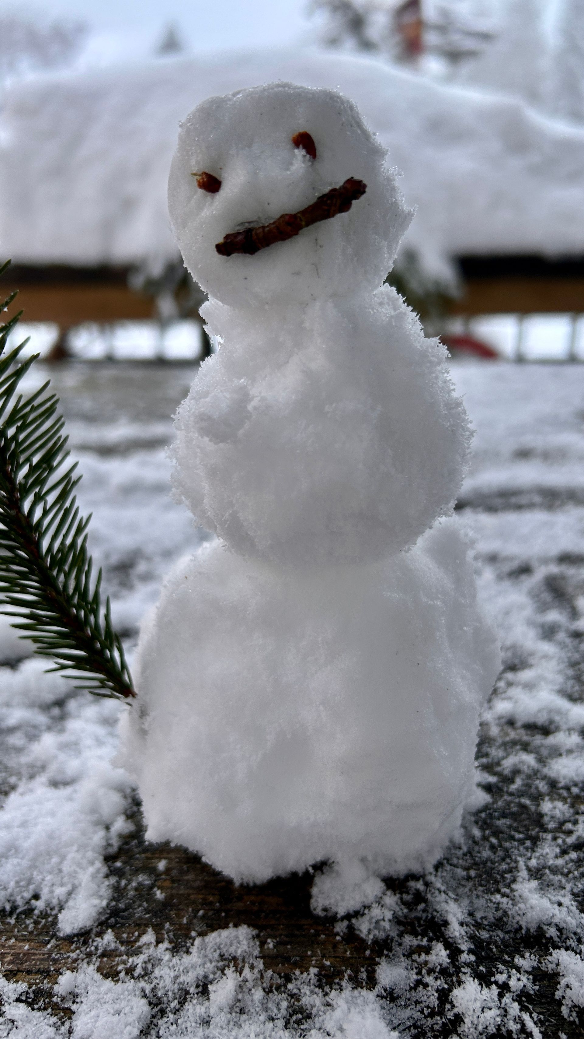 ferienapartment hahnenklee winter