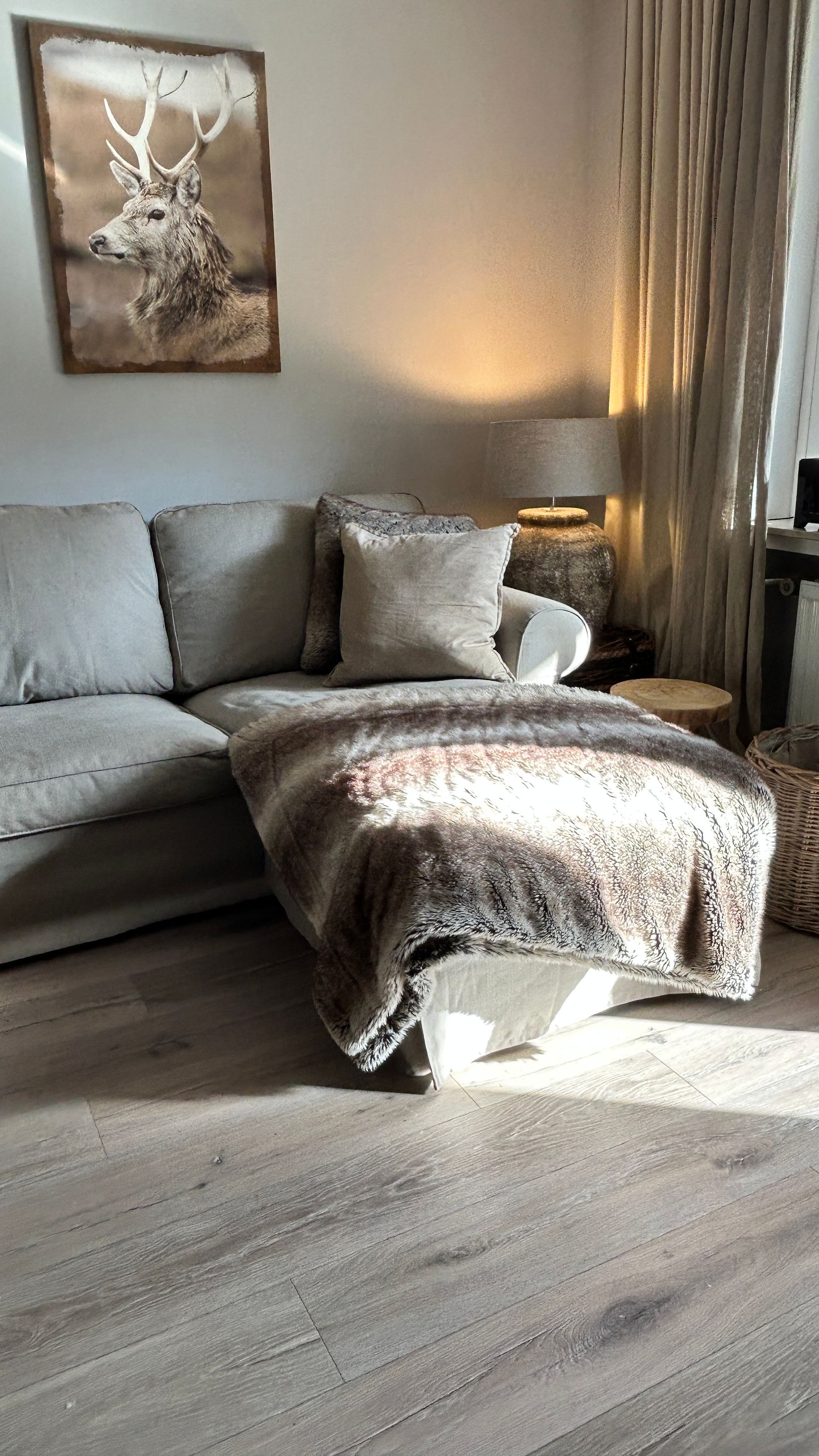 ferienapartment-hahnenklee sofa apartment 1