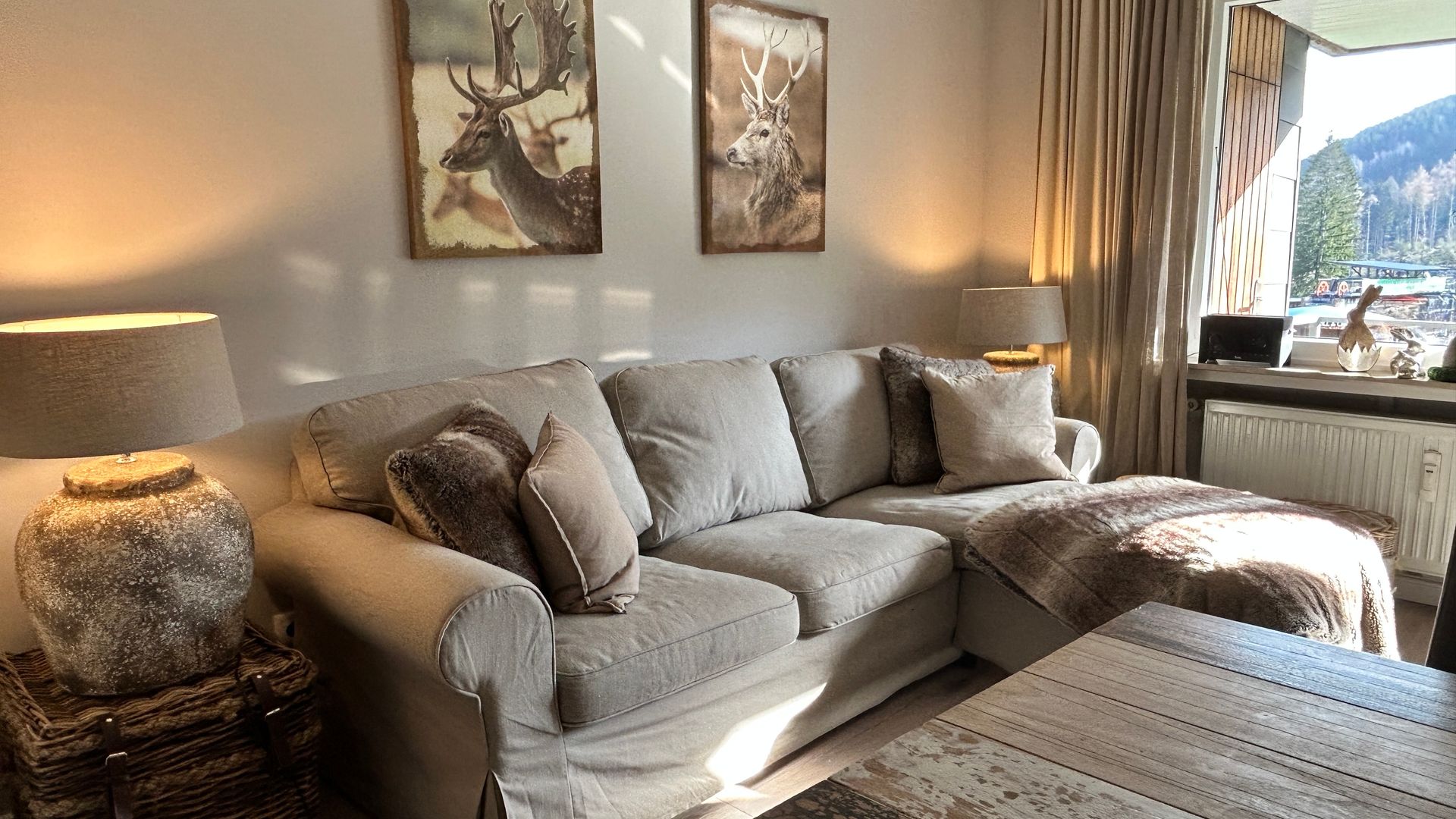 ferienapartment-hahnenklee Sofa apartment 1