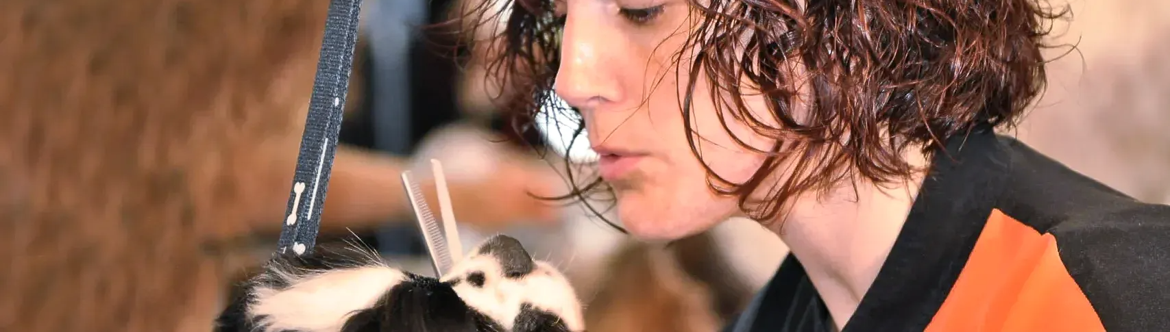 Perruqueria canina sant cugat