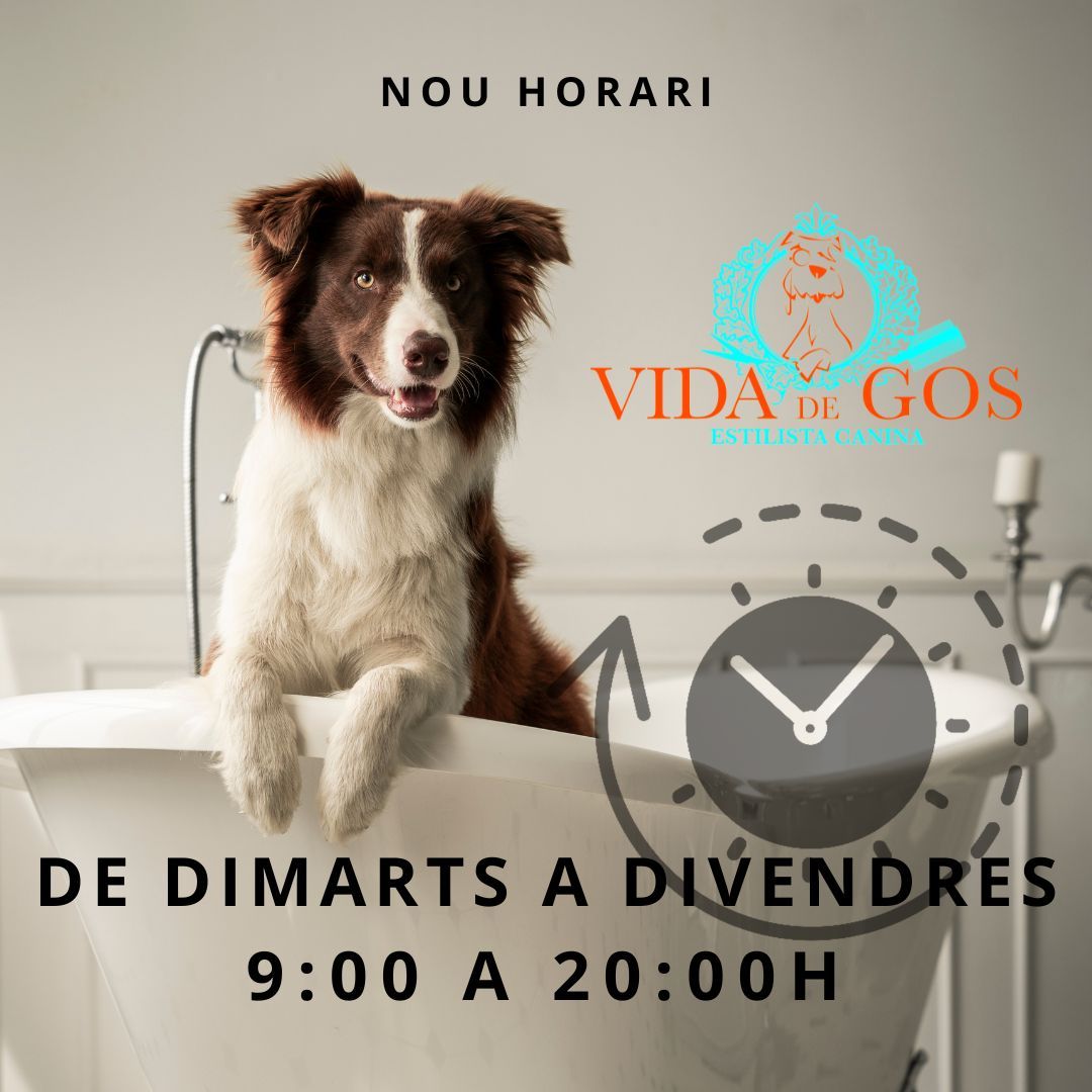 Vida de Gos celebra 10 años