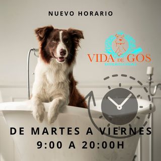 Vida de Gos celebra 10 años