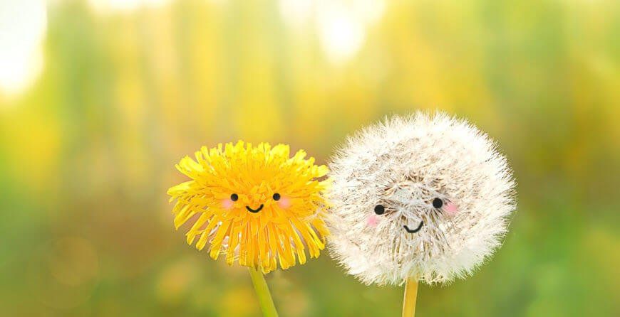 SPRING LAWN CARE SCHEDULE