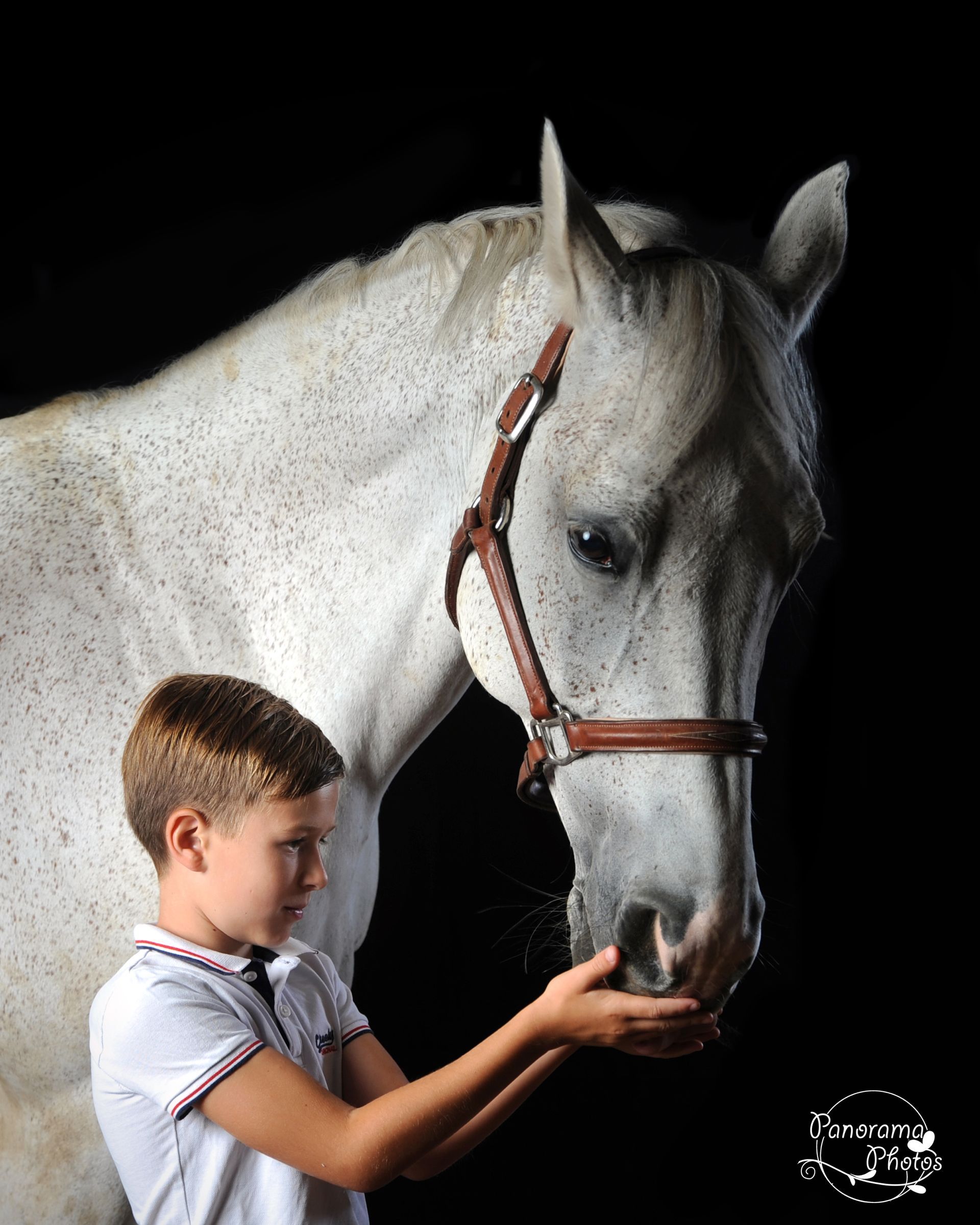 Photo d'un garçon en polo blanc donnant à manger à son cheval blanc sur fond noir de studio