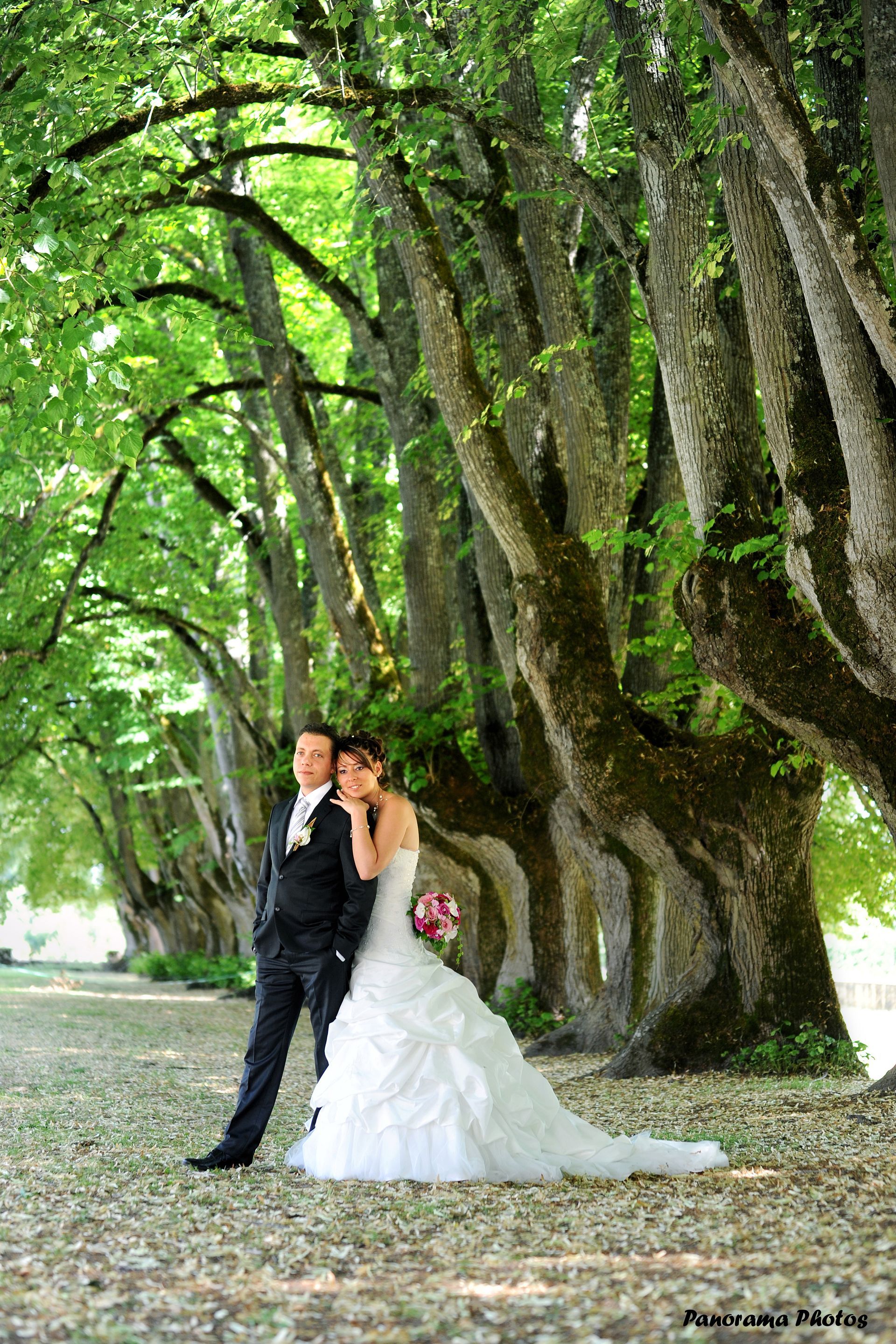 photo de mariage montrant des mariés posant dans une allée d'arbre