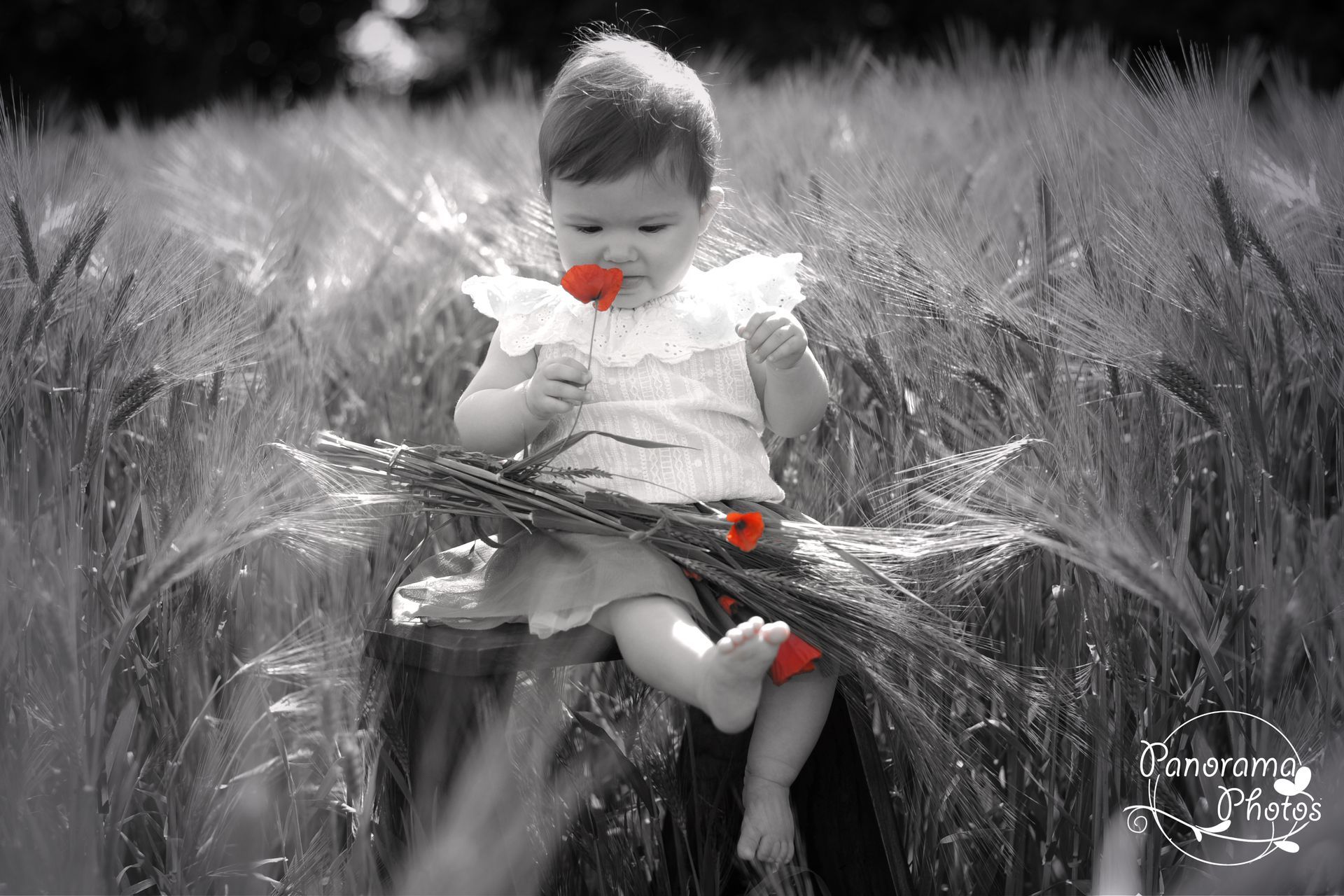 séance photo extérieure petite fille qui sent un coquelicot