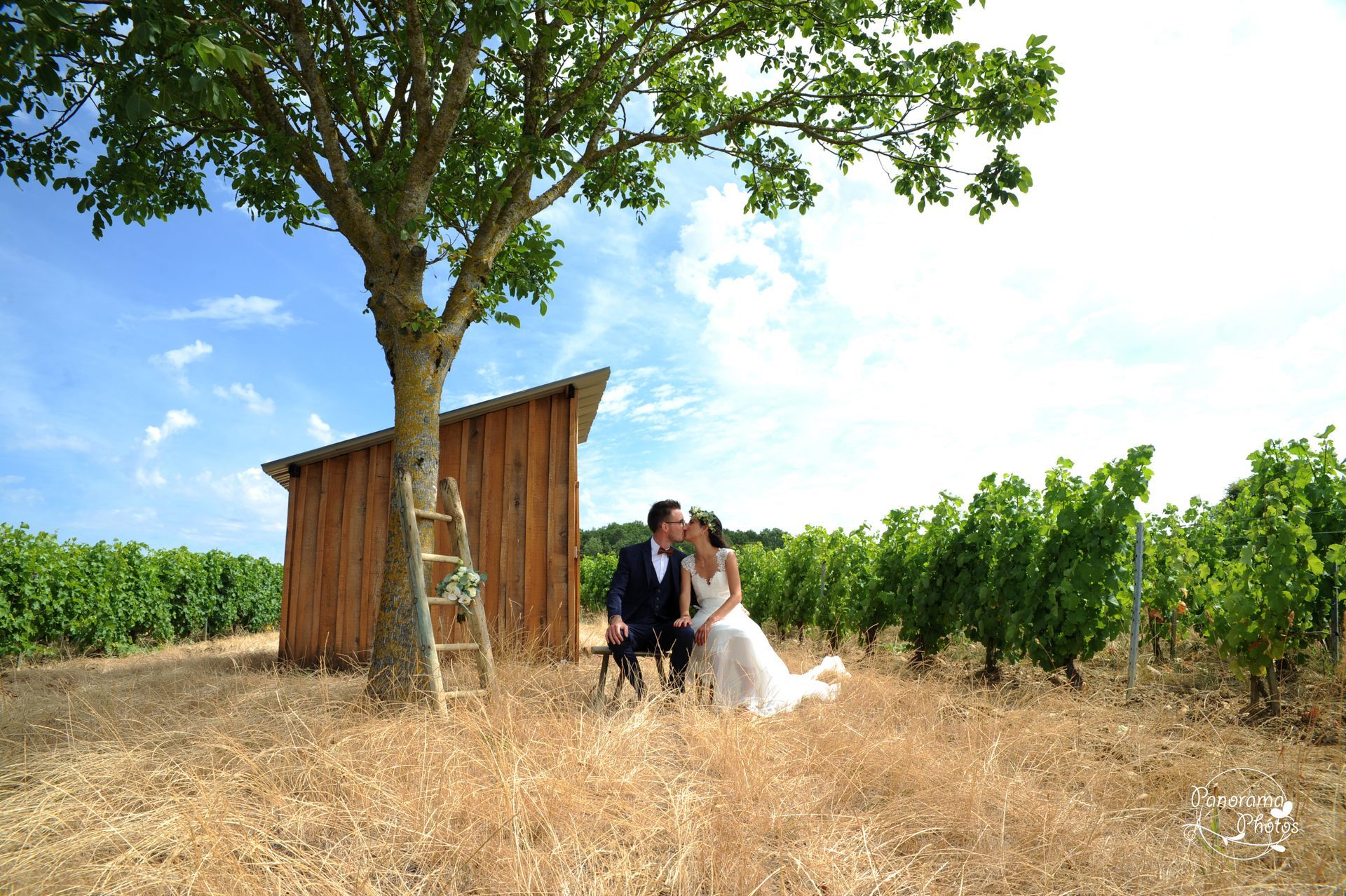 photo de mariage montrant des mariés assis sur un banc au milieu des vignes