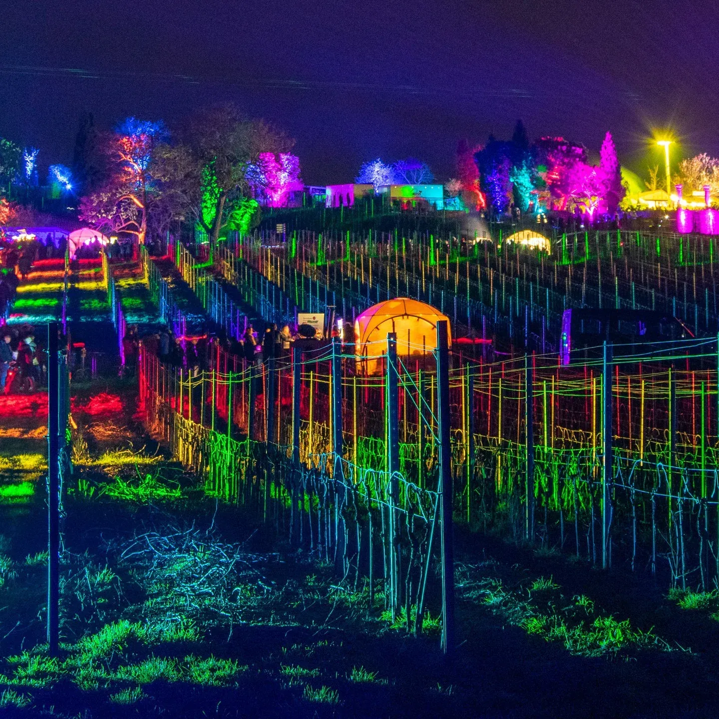 Kulturelles Kulturelles