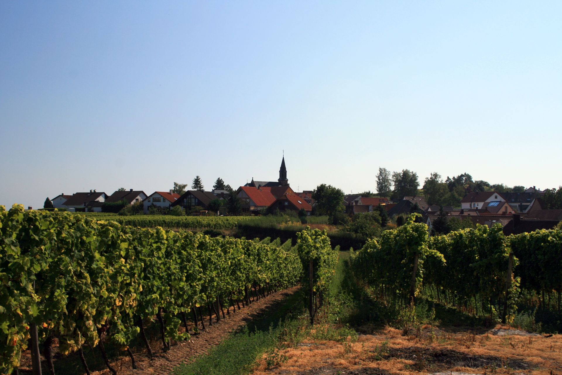 Kalkofen