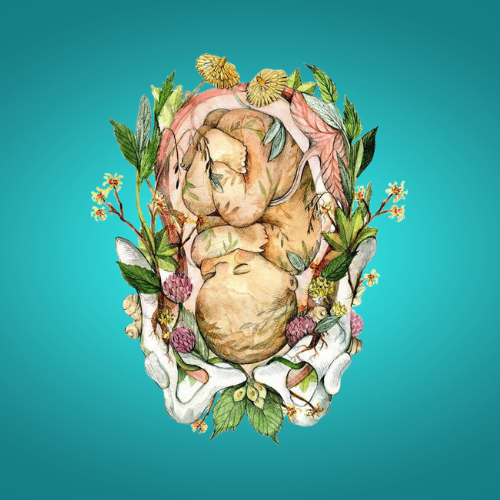 L'impact invisible de la vie prénatale et de la naissance