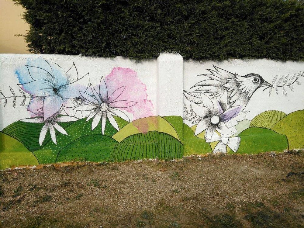 embellecimiento valladolid