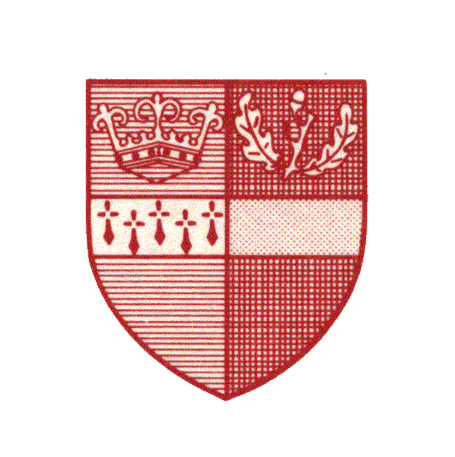 Surrey County Women & Girls Football League