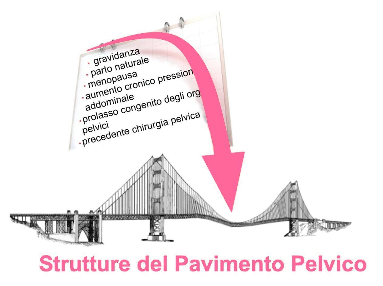 pavimento pelvico