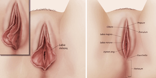 chirurgia estetica intima - chirurgia intima - chirurgia vagina - restringimento vagina - ringiovanimento genitale - ringiovanimento vaginale - punto g - labioplastica