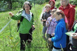 Gudrun Hieber bei einer Wildkräuterwanderung Gudrun Hieber Wildkräuterwanderung