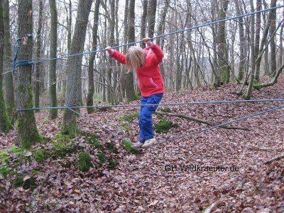 Ein Kind überwindet einen Niedrigseilgarten. Kindergeburtstag Naturerlebnis Niedrigseilgarten