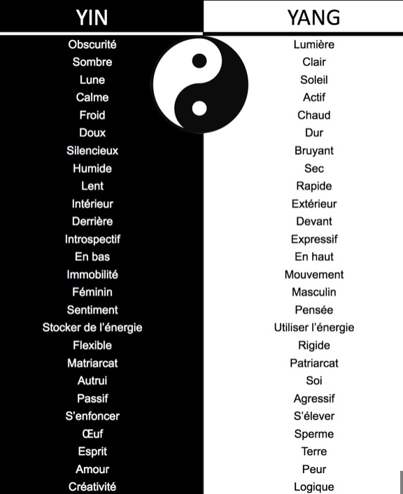 Yin Yang Les principes Yin et Yang dans l'univers